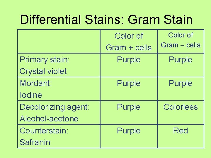 Differential Stains: Gram Stain Primary stain: Crystal violet Mordant: Iodine Decolorizing agent: Alcohol-acetone Counterstain: