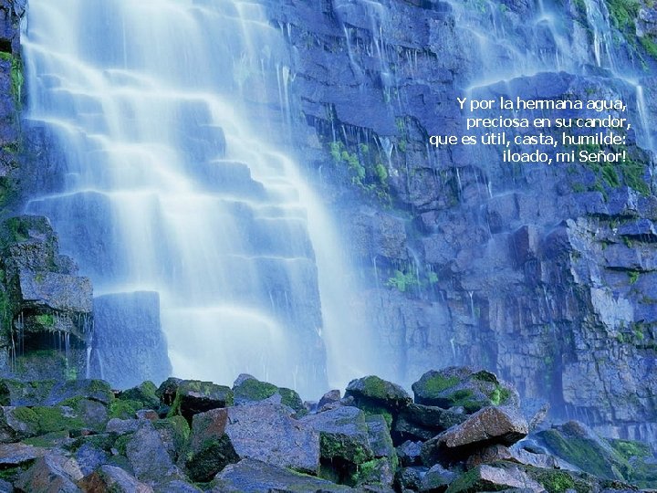 Y por la hermana agua, preciosa en su candor, que es útil, casta, humilde: