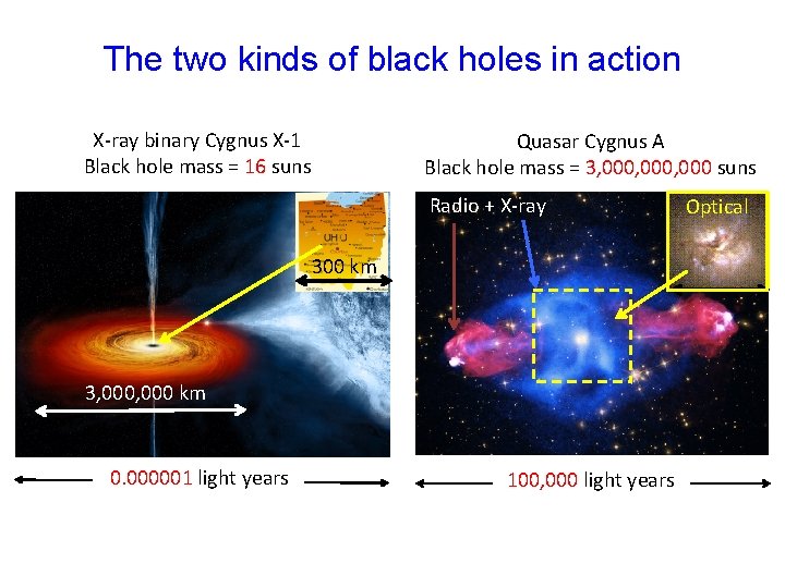 The two kinds of black holes in action X-ray binary Cygnus X-1 Black hole