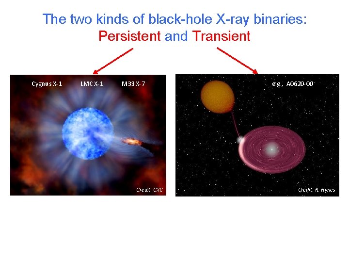 The two kinds of black-hole X-ray binaries: Persistent and Transient Cygnus X-1 LMC X-1
