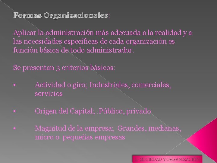 Formas Organizacionales: Organizacionales Aplicar la administración más adecuada a la realidad y a las