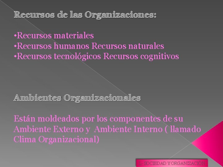 Recursos de las Organizaciones: • Recursos materiales • Recursos humanos Recursos naturales • Recursos