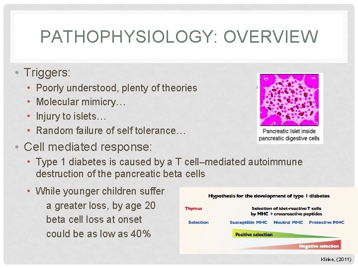 PATHOPHYSIOLOGY: OVERVIEW • Triggers: • • Poorly understood, plenty of theories Molecular mimicry… Injury