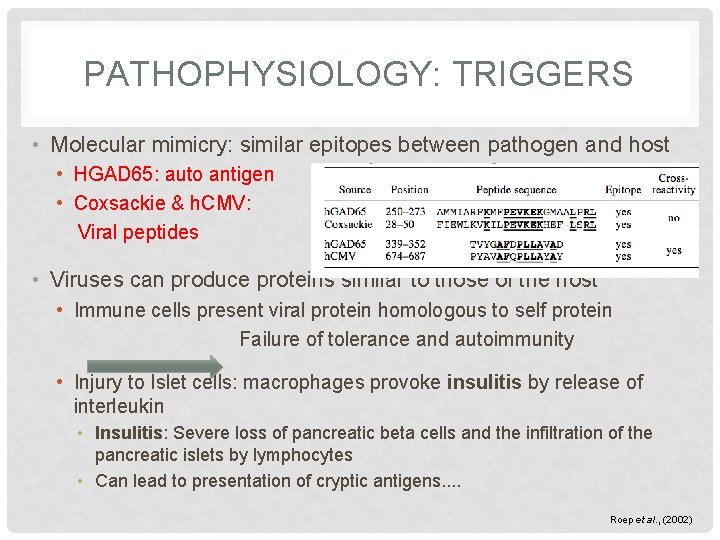 PATHOPHYSIOLOGY: TRIGGERS • Molecular mimicry: similar epitopes between pathogen and host • HGAD 65: