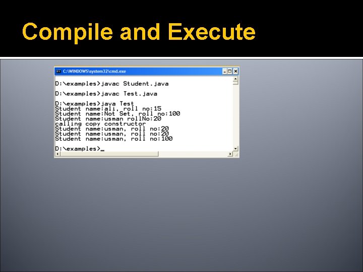 Compile and Execute 