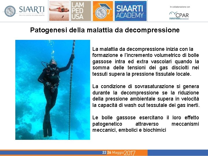 Patogenesi della malattia da decompressione La malattia da decompressione inizia con la formazione e