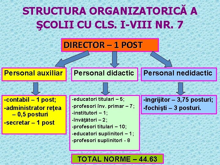 STRUCTURA ORGANIZATORICĂ A ŞCOLII CU CLS. I-VIII NR. 7 DIRECTOR – 1 POST Personal