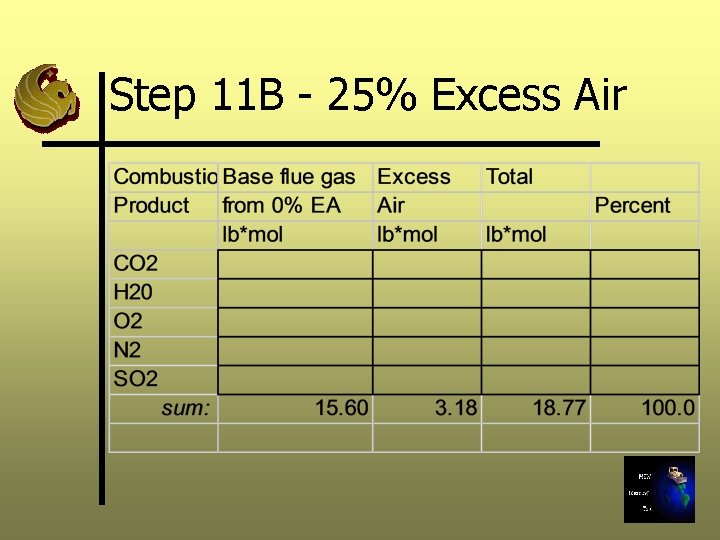 Step 11 B - 25% Excess Air 