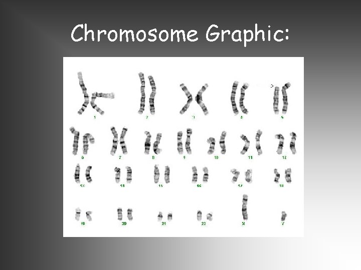 Chromosome Graphic: 