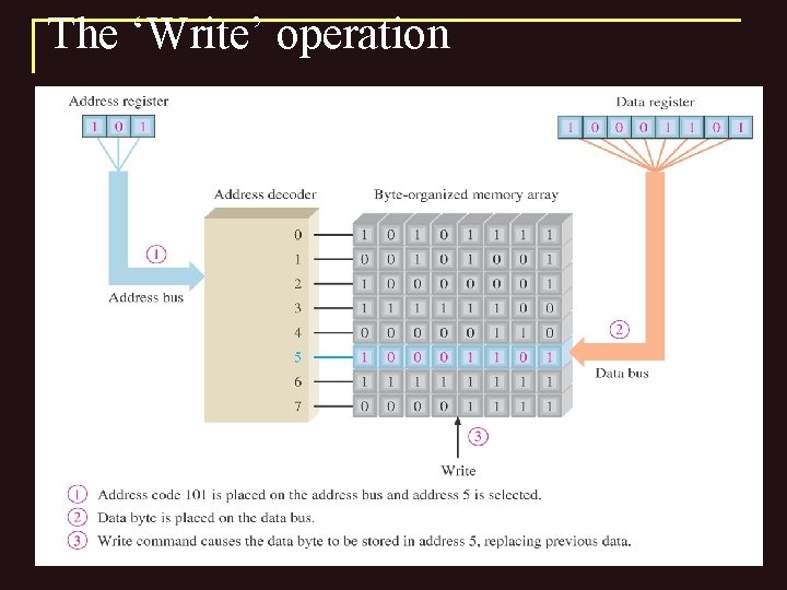 The ‘Write’ operation 