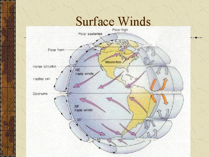 Surface Winds 