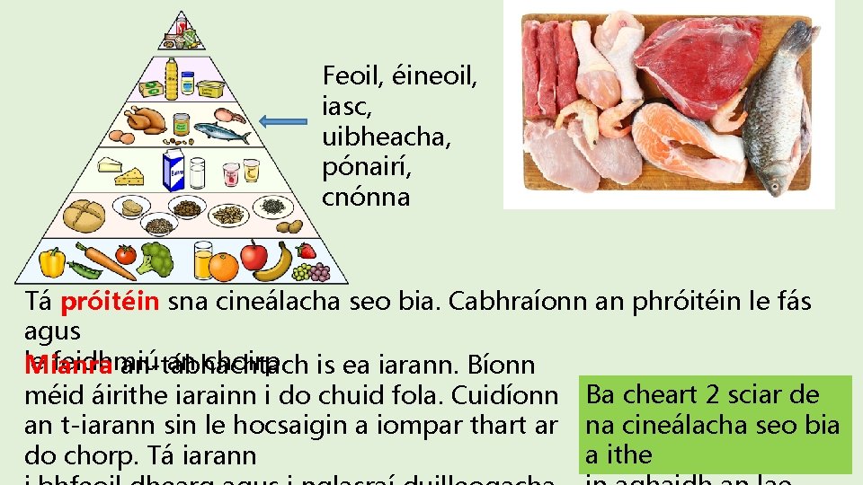 Feoil, éineoil, iasc, uibheacha, pónairí, cnónna Tá próitéin sna cineálacha seo bia. Cabhraíonn an