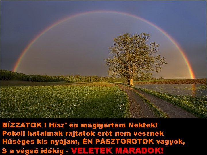 BÍZZATOK ! Hisz' én megigértem Nektek! Pokoli hatalmak rajtatok erőt nem vesznek Hűséges kis BÍZZATOK ! Hisz' én megigértem Nektek! Pokoli hatalmak rajtatok erőt nem vesznek Hűséges kis