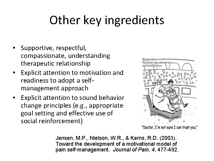 Other key ingredients • Supportive, respectful, compassionate, understanding therapeutic relationship • Explicit attention to