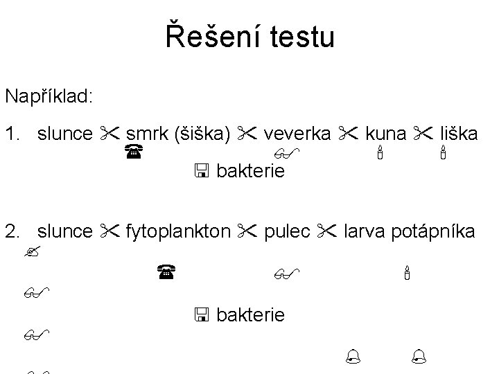 Řešení testu Například: 1. slunce smrk (šiška) veverka kuna liška bakterie 2. slunce fytoplankton