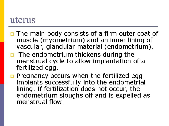 uterus p p p The main body consists of a firm outer coat of