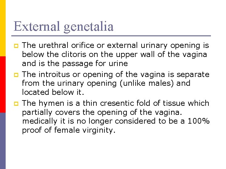External genetalia p p p The urethral orifice or external urinary opening is below