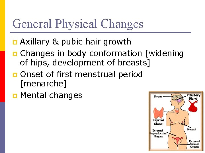 General Physical Changes Axillary & pubic hair growth p Changes in body conformation [widening