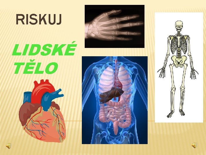 RISKUJ LIDSKÉ TĚLO 