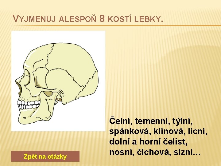 VYJMENUJ ALESPOŇ 8 KOSTÍ LEBKY. Zpět na otázky Čelní, temenní, týlní, spánková, klínová, lícní,