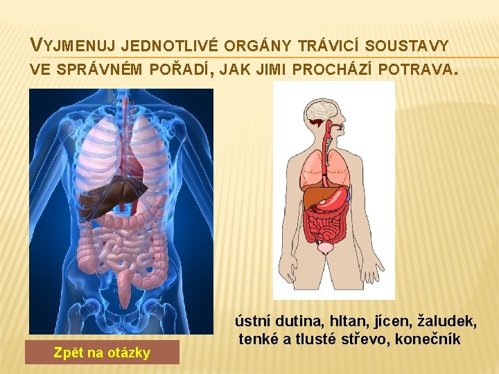 VYJMENUJ JEDNOTLIVÉ ORGÁNY TRÁVICÍ SOUSTAVY VE SPRÁVNÉM POŘADÍ, JAK JIMI PROCHÁZÍ POTRAVA. Zpět na