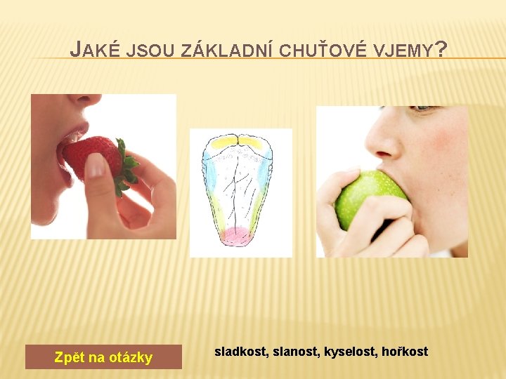 JAKÉ JSOU ZÁKLADNÍ CHUŤOVÉ VJEMY? Zpět na otázky sladkost, slanost, kyselost, hořkost 