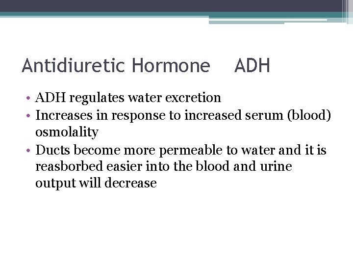 Antidiuretic Hormone ADH • ADH regulates water excretion • Increases in response to increased