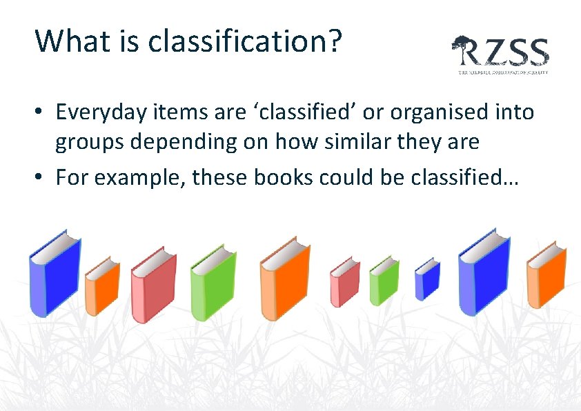 What is classification? • Everyday items are ‘classified’ or organised into groups depending on