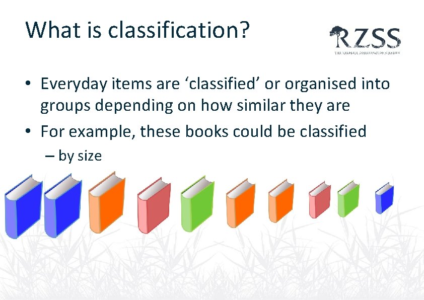 What is classification? • Everyday items are ‘classified’ or organised into groups depending on