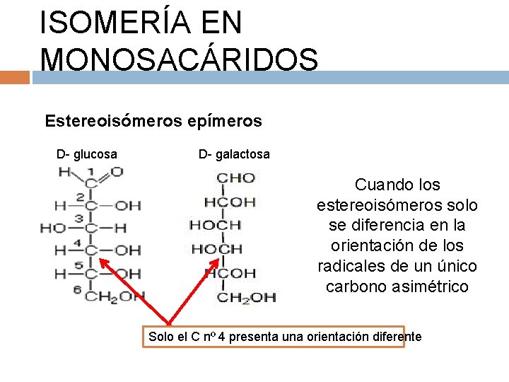 ISOMERÍA EN MONOSACÁRIDOS Estereoisómeros epímeros D- glucosa D- galactosa Cuando los estereoisómeros solo se