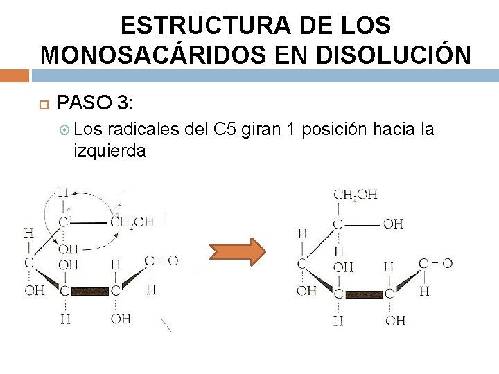 ESTRUCTURA DE LOS MONOSACÁRIDOS EN DISOLUCIÓN PASO 3: Los radicales del C 5 giran