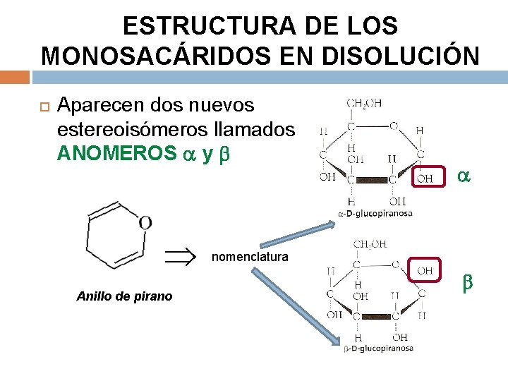 ESTRUCTURA DE LOS MONOSACÁRIDOS EN DISOLUCIÓN Aparecen dos nuevos estereoisómeros llamados ANOMEROS y Anillo