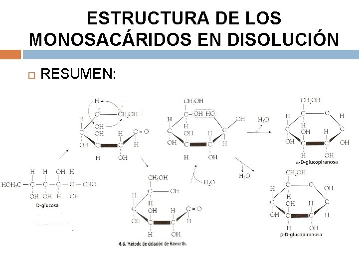 ESTRUCTURA DE LOS MONOSACÁRIDOS EN DISOLUCIÓN RESUMEN: 