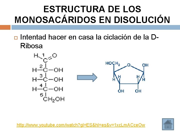 ESTRUCTURA DE LOS MONOSACÁRIDOS EN DISOLUCIÓN Intentad hacer en casa la ciclación de la