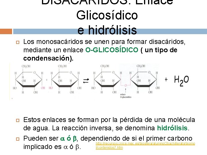 DISACÁRIDOS: Enlace Glicosídico e hidrólisis Los monosacáridos se unen para formar disacáridos, mediante un