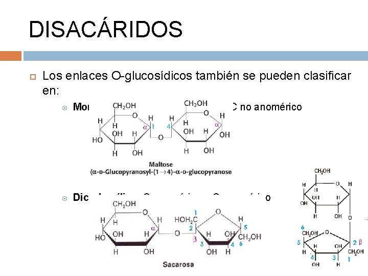 DISACÁRIDOS Los enlaces O-glucosídicos también se pueden clasificar en: Monocarbonílico: C anomérico + C