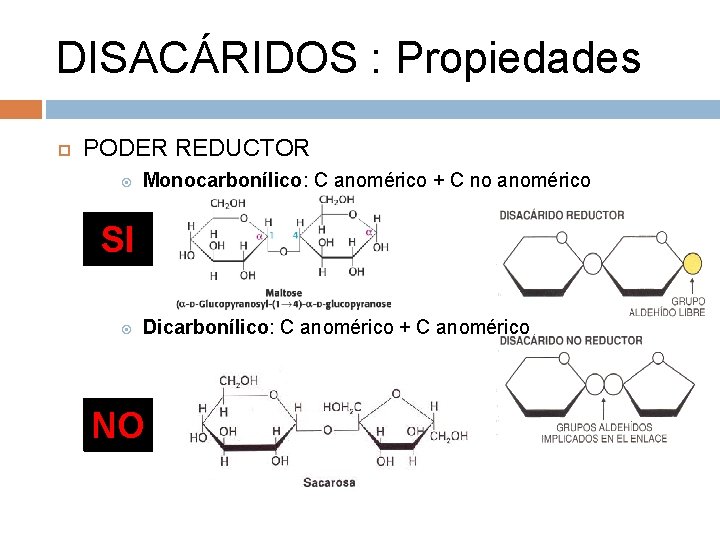 DISACÁRIDOS : Propiedades PODER REDUCTOR SI Monocarbonílico: C anomérico + C no anomérico Dicarbonílico: