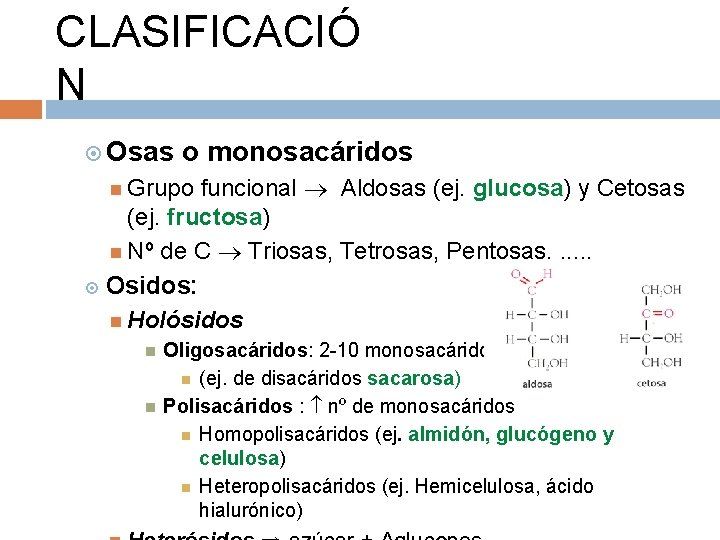 CLASIFICACIÓ N Osas o monosacáridos Grupo funcional Aldosas (ej. glucosa) y Cetosas (ej. fructosa)