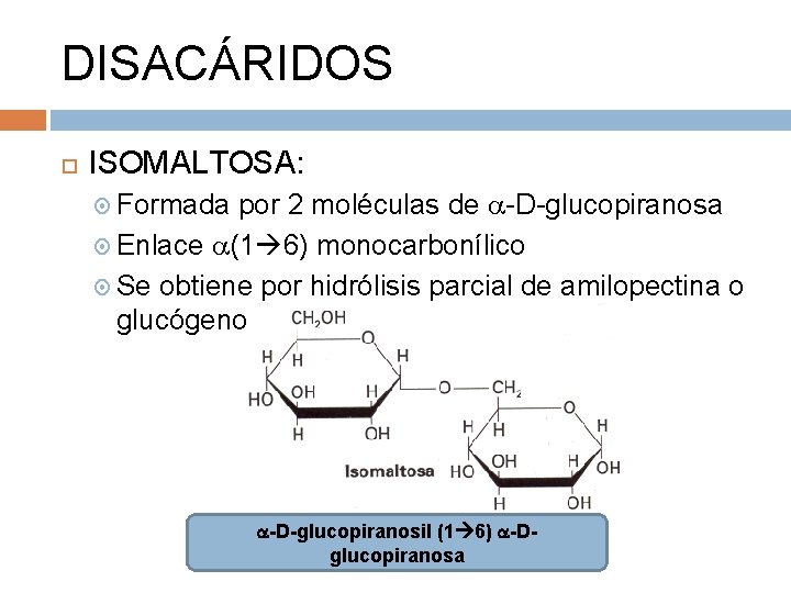 DISACÁRIDOS ISOMALTOSA: Formada por 2 moléculas de -D-glucopiranosa Enlace (1 6) monocarbonílico Se obtiene