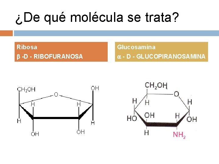 ¿De qué molécula se trata? Ribosa Glucosamina -D - RIBOFURANOSA - D - GLUCOPIRANOSAMINA
