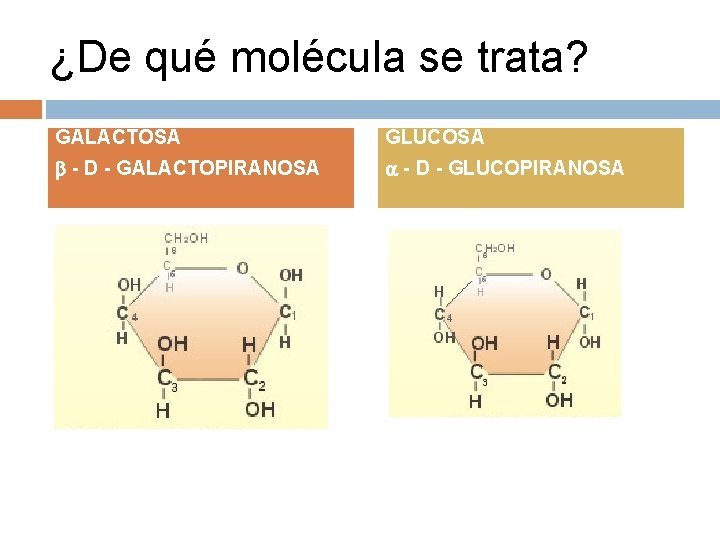 ¿De qué molécula se trata? GALACTOSA GLUCOSA - D - GALACTOPIRANOSA - D -