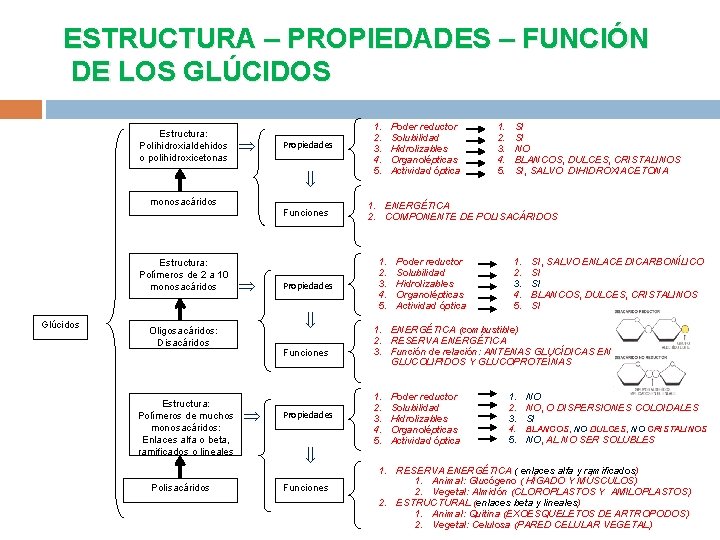 ESTRUCTURA – PROPIEDADES – FUNCIÓN DE LOS GLÚCIDOS Estructura: Polihidroxialdehidos o polihidroxicetonas Propiedades monosacáridos