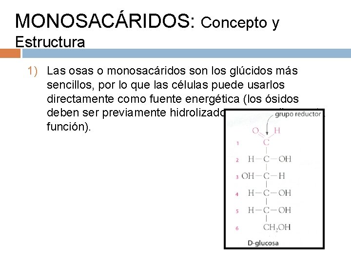 MONOSACÁRIDOS: Concepto y Estructura 1) Las osas o monosacáridos son los glúcidos más sencillos,