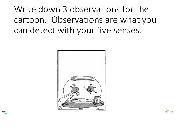Write down 3 observations for the cartoon. Observations are what you can detect with