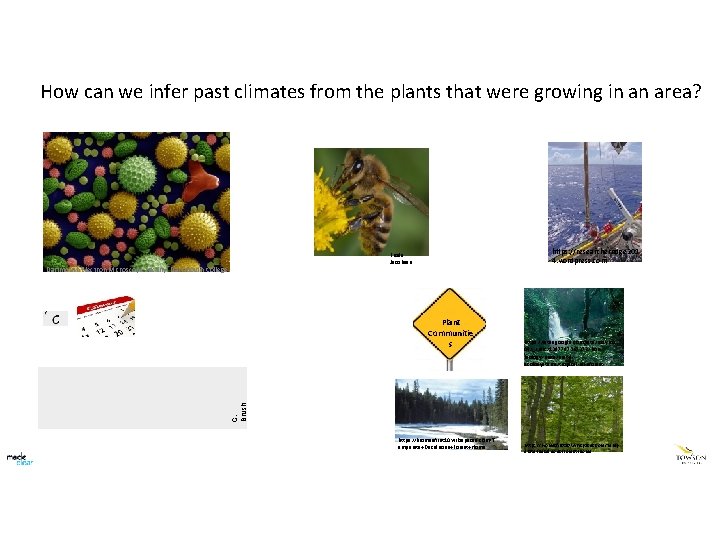 How can we infer past climates from the plants that were growing in an