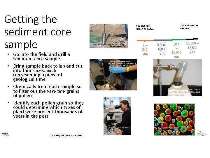 Getting the sediment core sample • Go into the field and drill a sediment