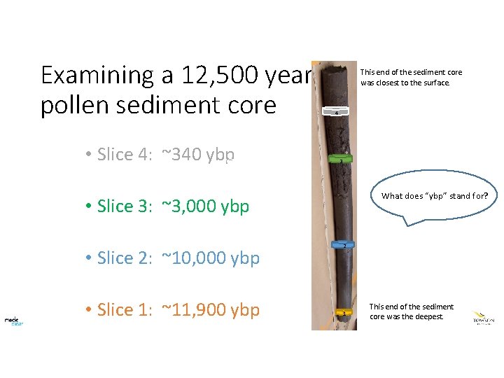 Examining a 12, 500 year pollen sediment core This end • Slice 4: ~340