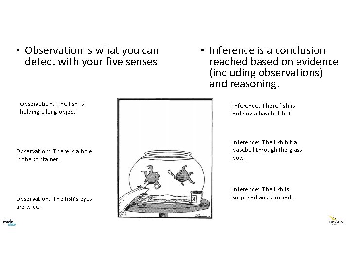  • Observation is what you can detect with your five senses Observation: The