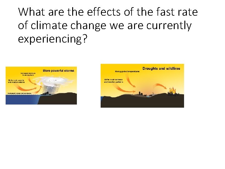 What are the effects of the fast rate of climate change we are currently
