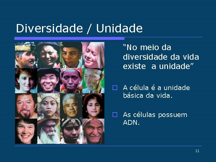 Diversidade / Unidade “No meio da diversidade da vida existe a unidade” o A